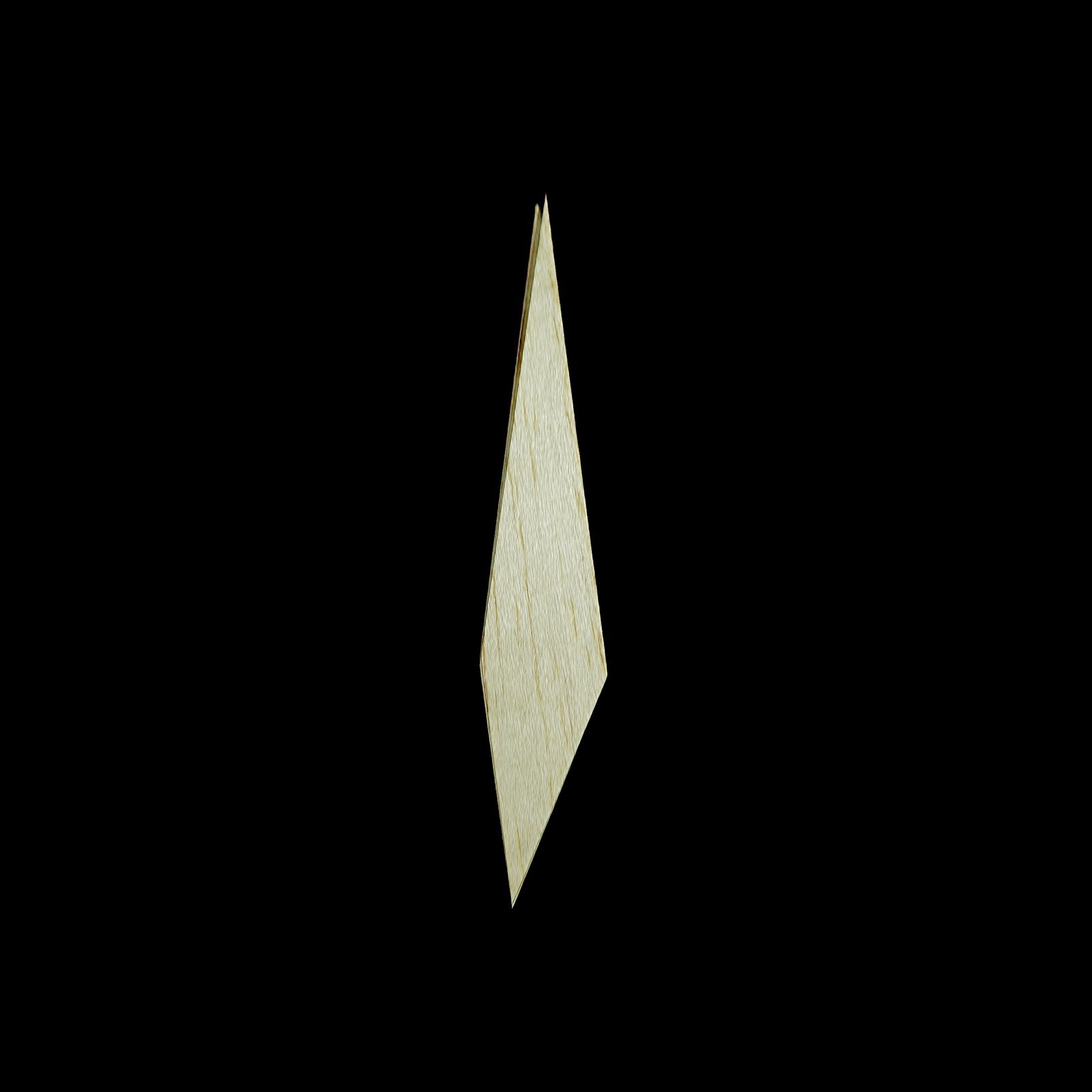 Fin 3